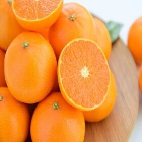 상품 이미지: 제주 천혜향 가정용 4.5kg 중소과 (35-90과 내외) / 주말 파격 특가