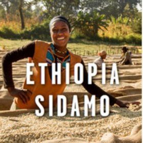 상품 이미지: 이디오피아 시다모G2 1kg 원두