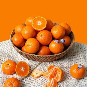 상품 이미지: (신선집중) 감귤 미국산 고당도 큐티 만다린 귤 2kg(20-30과내외)/로얄과