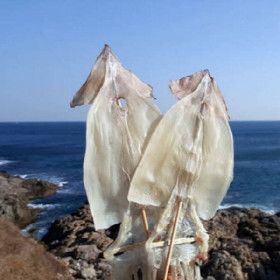 상품 이미지: 우체국쇼핑 가을바다 부드러운 마른오징어 20마리 800g