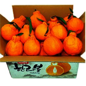 상품 이미지: 고당도 노지 한라봉 10KG 중과 40~49과 / 맛없으면 환불보장 / 농가직송 과즙팡팡