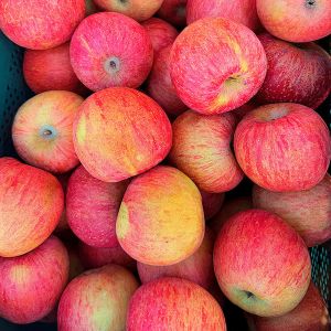 상품 이미지: (한정수량특가) 사과 제철과일 실속형 흠집 부사사과 중대과 5kg 10-25과