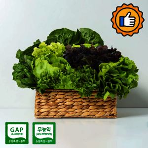 상품 이미지: (신선집중) 샐러드 채소 상추 쌈채소 1kg(랜덤) 무농약 GAP