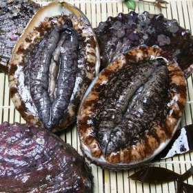 상품 이미지: (신선집중) 완도 산지직송 삼삼한 활전복 1kg 8-9미 산소포장 2세트구매시 랑쿡 반계탕570g추가배송