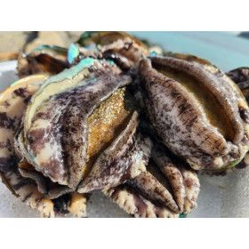 상품 이미지: 태양수산 왕특특대 활전복 5~7미 1kg/손질칼증정