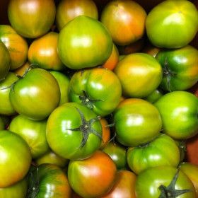 상품 이미지: 농장직송 특품 대저 짭짤이 토마토 2.5kg (S 소과) 품평회 대상 수상 농가