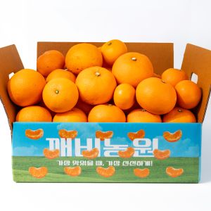 상품 이미지: (신선집중) 단하루7%중복/ 깨비농원 가정용 천혜향 4kg 랜덤과