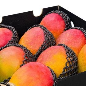 상품 이미지: 다인푸른농장 최상급 직수입 애플망고 4kg (8-12과)