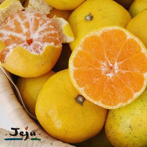 상품 이미지: 새코롬달코롬제주감귤 (쥬스용)한라봉.천혜향.진지향 혼합발송 10kg 포장재무게포함(반품불가)