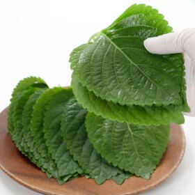 상품 이미지: 경산 하양 싱싱한 깻잎 찹찹이 당일수확 직송 500g