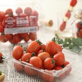 상품 이미지: [감동마토]스테비아 대추방울토마토 2kg