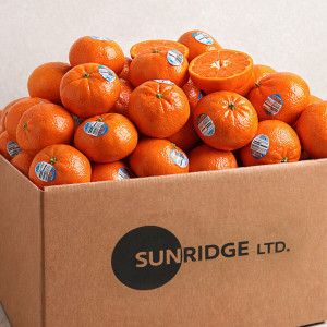 상품 이미지: 미국 캘리포니아산 만다린 최신통관 고당도 만다린 귤 4kg(40-60과)