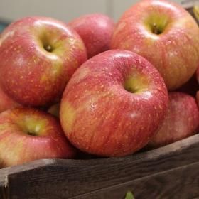 상품 이미지: 가족 경북 보조개사과(부사) 4.5kg