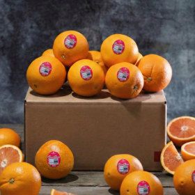 상품 이미지: (신선집중) 고당도 프리미엄  썬키스트 카라 오렌지 대과 신선배송