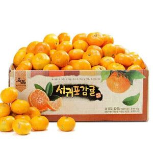 상품 이미지: 나영이네농장 맛좋은 감귤 비가림 하우스 귤9kg(L~2L)-중대과/세일할인중
