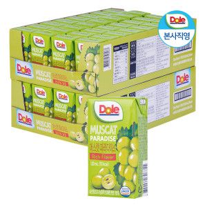 상품 이미지: (1+1) Dole 과즙100% 머스캣 파라다이스 주스 32팩 2박스+주스홀더