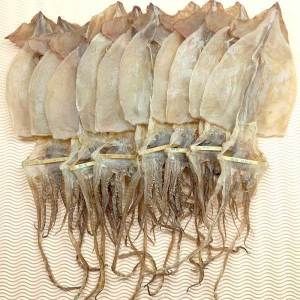 상품 이미지: 동해안 건오징어 10마리 400g 원양산  동해안 건조