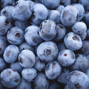 상품 이미지: USA 프로즌 블루베리 A등급 4kg(1kgx4팩)/자연미가듬뿍 품질보증과일~