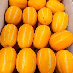 상품 이미지: 성주 참외 고당도 꿀참외 랜덤과 5kg