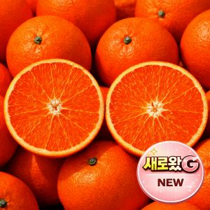 상품 이미지: 산지직송 고당도 천혜향 5kg 초특가 행사