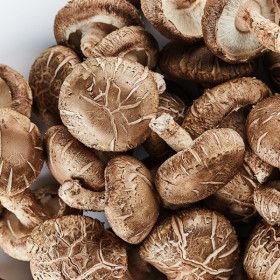 상품 이미지: (신선집중) 국내산 생표고버섯 못난이 1kg