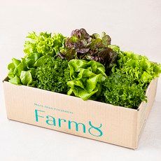 상품 이미지: 팜에이트 무농약 유러피안 샐러드 꾸러미, 800g, 1개입, 1개