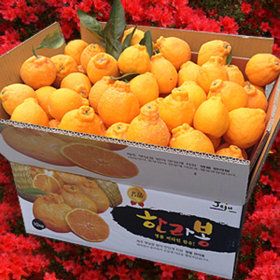 상품 이미지: 한라산농장 노지 한라봉 10KG 중과 40~48과 폭싹세일 고당도