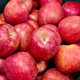 상품 이미지: (최대16brix) 대형마트납품 A급 부사사과 꿀사과 // 5kg(중소과) 24-32과내외 산지직송