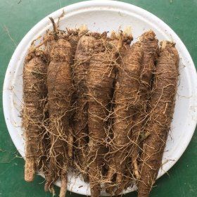 상품 이미지: 횡성더덕(특)1kg(15~20뿌리) 횡성더덕 농가직거래