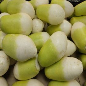 상품 이미지: (우주초특가) 제주산 월동무 10kg 가정용