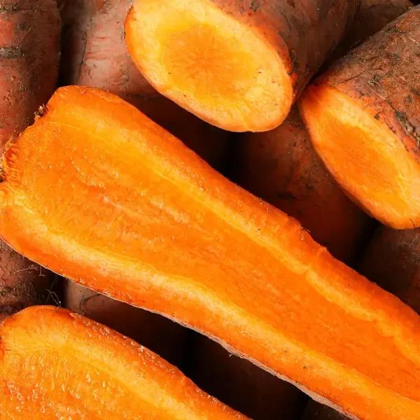 상품 이미지: 제주 구좌 당근 햇 흙당근 5kg(왕)