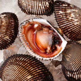 상품 이미지: 산지직송 남해안 피조개 피꼬막 5kg 75-100미