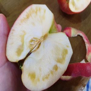 상품 이미지: 청송꿀사과 가정용 못난이 9kg(크기혼합과)햇 부사