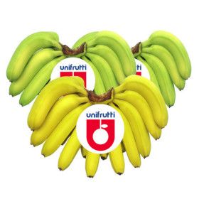 상품 이미지: (신선집중) 후숙전 바나나 3송이 6.4kg