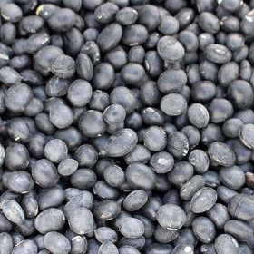 상품 이미지: (신선집중) 2025년 햇곡 국산 서리태 2kg 속청 검은콩 (10+7 쿠폰가 15820원)