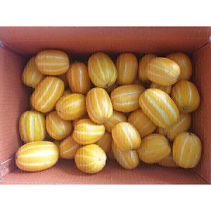 상품 이미지: 성주참외 가정용 몬난이 참외5kg 실중량(4.5kg) 한정수량