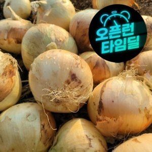 상품 이미지: (품질보증) 국내산 달달하고 단단한 햇 양파 중대-특상 혼합 5kg 오늘발송 100%환불보장