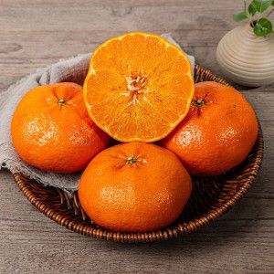 상품 이미지: 농협인증 고당도 천혜향 6kg 맛보장 옥과 천혜향 실속혼합과 / 무료배송