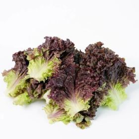 상품 이미지: 국내산 적상추 4kg 쌈채소 쌈야채