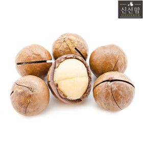 상품 이미지: 껍질 마카다미아 1kg(500g+500g) 까먹는 통 마카다미아 100% 베트남산 최상급 2026년 2월 통관 제품