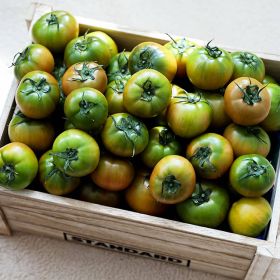 상품 이미지: (타임세일) 달콤짭짤 프리미엄 특품 대저토마토 //  2.5kg(L) 산지직송