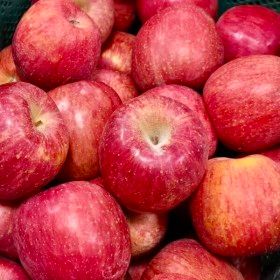 상품 이미지: (최대16brix) 대형마트납품 A급 부사사과 꿀사과 // 5kg(중과) 18-27과내외 산지직송