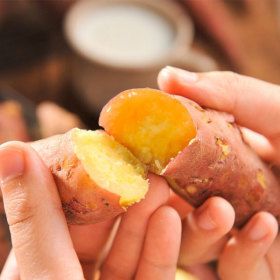 상품 이미지: (신선집중) 구정마을 달달하고 부드러운 햇 꿀고구마 5kg (특상중혼합)