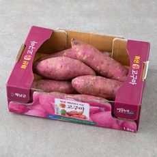 상품 이미지: 해남 화산농협 꿀고구마, 1.5kg, 1박스