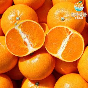 상품 이미지: (신선집중) 천하일품 천혜향 2kg 중대과(6-10과)2개구매4.5kg