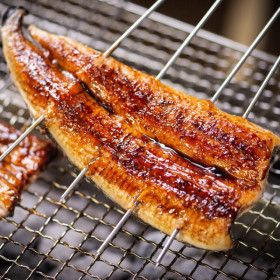 상품 이미지: (신선집중) 대한민국농수산 국내산 장어 민물장어 1kg(손질 후 700g 내외)