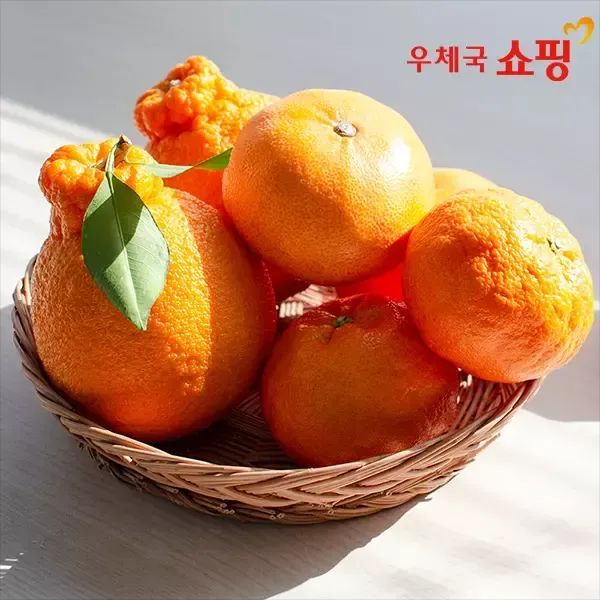 상품 이미지: [우체국쇼핑] 13brix 이상 제주 하우스 한라봉, 레드향, 천혜향 2kg(2개 구매시 500g 중량 업 추가발송)