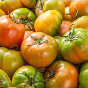 상품 이미지: (타임세일) 달콤짭짤 프리미엄 특품 대저토마토 //  2.5kg(L) 산지직송