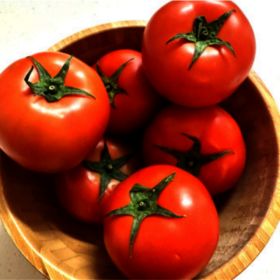 상품 이미지: 정품 유럽종 완숙토마토 최상품 당일수확 5KG