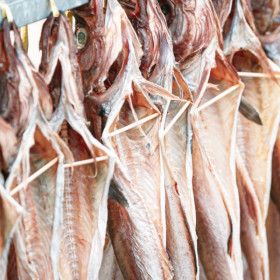 상품 이미지: 속초 반건조 깔끔코다리 왕특대 49cm 이상 8마리